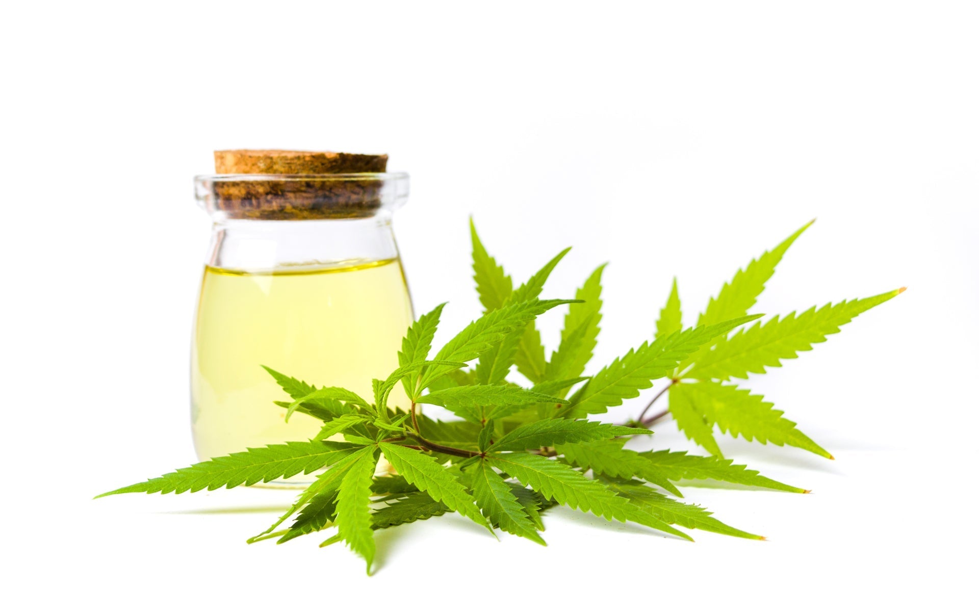 Detailing the Differences between CBD Oil, Hemp Oil, & Hemp Seed Oil